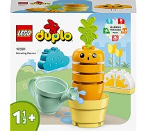 LEGO Duplo burkānu audzēšana (10981) 457827