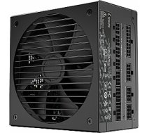 Fractal Design Ion Gold 750W barošanas avots (FD-P-IA2G-750) 100418