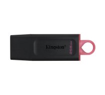 Kingston ATMIŅAS ZIBATMIŅAS ZIBATMIŅAS USB3.2/256GB DTX/256GB KINGSTON