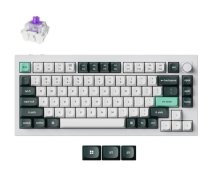 Keychron TASTATŪRA WRL Q1 HE RGB/SHELL WHITE Q1H-P1 KEYCHRON