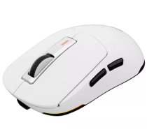 Genesis Genesis Zircon 660 Bezvadu Datorpele 12000 DPI