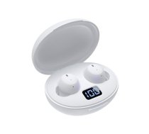 White Shark White Shark GEB-TWS-02 Vortex White