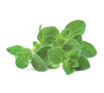 Click & Grow gudrā augu dārza uzpilde Oregano 3gb.