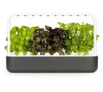 Click & Grow Smart Garden 9 viedais dārzs, pelēks (SG9S8UNI)