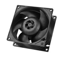 ARCTIC S8038-10K - 80 mm Server-Lüfter - Ventilator - 8 cm - 102 cfm - 173,3 m³/h - Schwarz (ACFAN00279A)