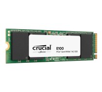 SSD diskas E100 480GB M.2 NVMe 2280 PCIe 4.0