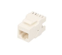 Keystone Extralink CAT6 UTP, RJ45 Connector
