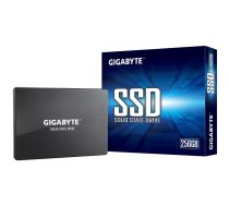 SSD diskas Gigabyte GP-GSTFS31256GTND 256GB SATA 2.5"