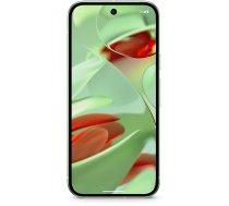 Google Pixel 9 16 cm (6.3), 12 GB, 128 GB, 50 MP, Android 14, Wintergreen