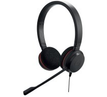 Turime | Evolve 20 Duo, MS | ITwork sandėlyje