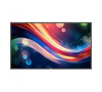 PHILIPS Q-Line 55BDL4050Q 139,7cm(55) 24/7/UHD/Android10 (Speditionsversand)