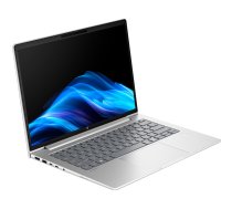 Probook 4 G1a (C07P5ES), Notebook silber, AMD Ryzen 5 230, AMD Radeon 760M, 24 GB DDR5, 1 TB (1 TB SSD), ohne Betriebssystem