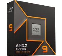Procesorius AMD Ryzen 9 9900X 12C/24T, 4.4-5.6GHz, 76MB, 120W, AM5, Box