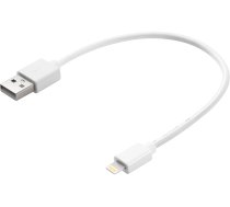 SANDBERG Lightning-Kabel - Lightning männlich zu USB männlich - 20 cm - für Apple iPad/iPhone/iPod (Lightning)