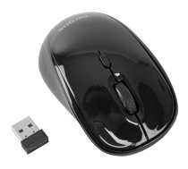 Targus - Maus - rechts- und linkshändig - optisch - kabellos - 2,4 GHz - kabelloser Empfänger (USB) - Schwarz (AMW50EU)