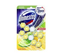 DOMESTOS bloks WC Duo Lime  2x55g