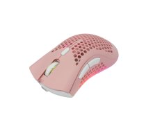 Pele White Shark WGM-5012 Lionel Pink T-MLX55663