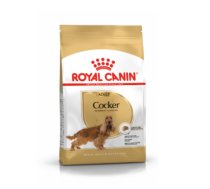 Sausā barība suņiem Royal Canin BHN Dog Cocker Adult 3 kg