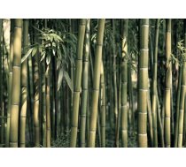 Fototapete Artgeist Bamboo Exotic SFT749, 100 cm x 70 cm