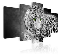 Reprodukcija Artgeist Leopard - black&white N3597, 100 cm x 50 cm