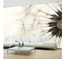Fototapete Artgeist White Dandelion SFTNT1392, 100 cm x 70 cm