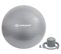 Vingrošanas bumbas Schildkrot Fitness Gymnastic Ball 960155, sudraba, 55 cm