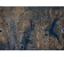Fototapete Artgeist Prehistoric Dance SNEW011043, 100 cm x 70 cm