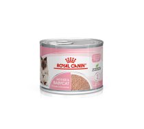 Mitrā kaķu barība Royal Canin Babycat, vistas gaļa, 0.195 kg