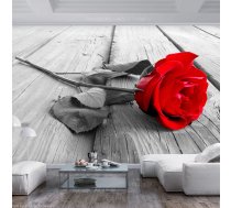 Fototapete Artgeist Abandoned Rose SFT1552, 100 cm x 70 cm