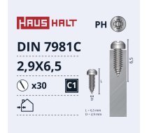 Pašvītņojošā skrūve Haushalt DIN7981C, 2.9 mm x 6.5 mm, 30 gab.