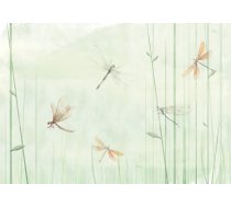 Fototapete Artgeist Dragonflies In The Meadow, 70 cm x 100 cm