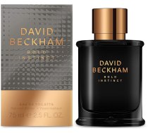 Tualetes ūdens David Beckham Bold Instinct, 75 ml