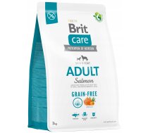 Sausā suņu barība Brit Care Adult Grain-free, lasis, 3 kg