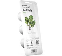 Gudrā dārza sēklas Click & Grow, kale kāposti, 40 g, 3 gab.