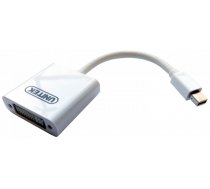 Adapteris Unitek Mini Display port male, DVI-I female, 13 m, balta