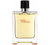 Tualetes ūdens Hermes Terre D Hermes, 100 ml