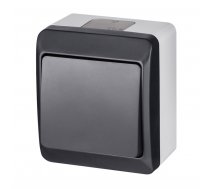 Slēdzis Elektro-Plast Hermes 0331-07 Switch Anthracite