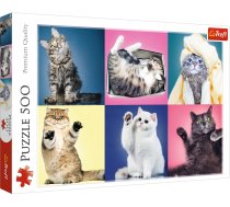 Puzle Trefl Kittens, 500