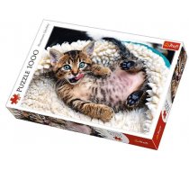 Puzle Trefl Cheerful Kitten 10448, 68 cm x 48 cm