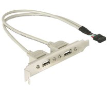 Adapteris Delock USB 2.0 A female x 2, USB 10 pin internal, 0.3 m, pelēka