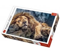Puzle Trefl Sleeping Lion 10447, 48 cm x 68 cm