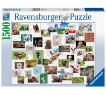 3D puzle Ravensburger Funny Animals Collage 1500, 1500