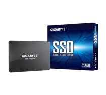 Gigabyte | GP-GSTFS31256GTND | 256 GB | Solid-state drive interface SATA | Read speed 520 MB/s | Write speed 500 MB/s