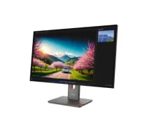 Lenovo ThinkVision P32UD-40 | 32 " | IPS | UHD | 16:9 | 120 Hz | 4 ms | 3840 x 2160 pixels | 350 cd/m² | Black