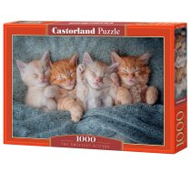 PUZZLE 1000EL CASTORLAND SWEETEST KITTENS PUD14