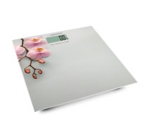 DIGITAL BATHROOM SCALE ORCHID EBS010