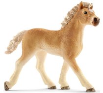 Figure Foal Haflinger Horse Club Red