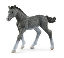 Figure foal of the Trakehner breed Horse Club