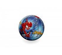 Beach ball Spider-Man 51 cm