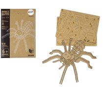 Wooden 3D Spider Puzzle Educational Combination 31 Elements